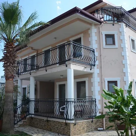 Oasis *
