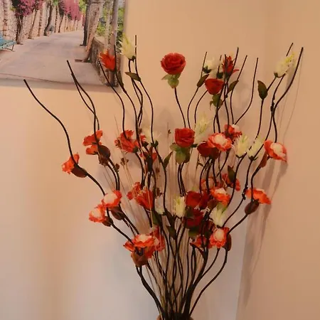 Apartament Oasis